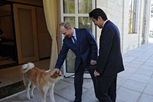 Владимир Путин славится своей любовью к животным