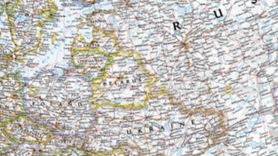 Серым цветом на картах AGS отмечают спорные территории