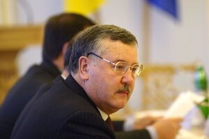 Анатолий Гриценко: Решения нужно принимать немедленно