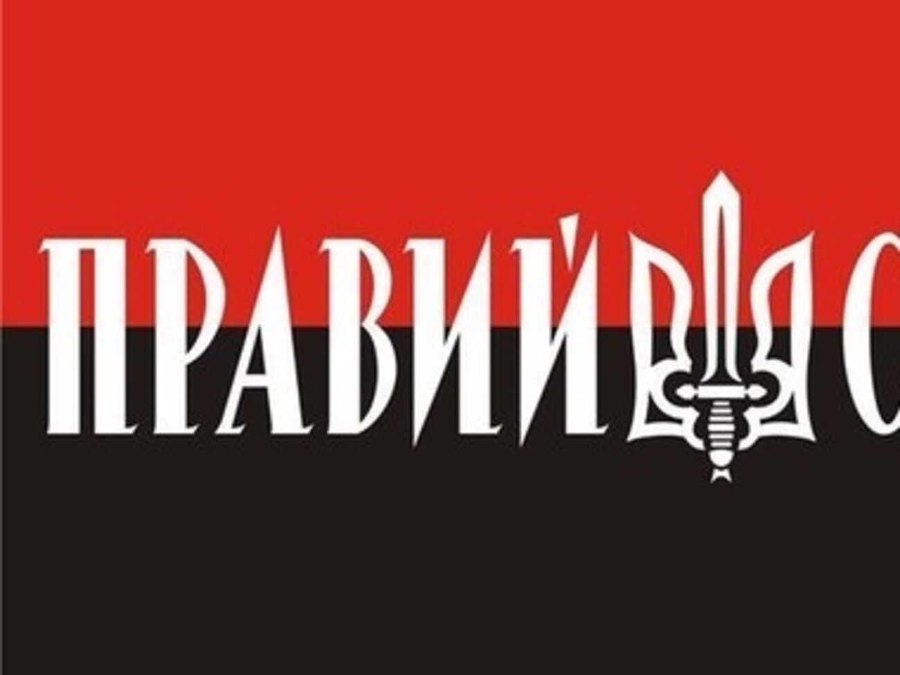 "Правый сектор" создал одноименную политическую партию