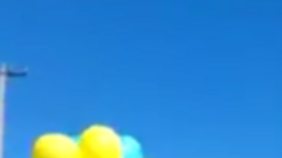 Военные из батальона морской пехоты поднимают в Крыму государственный флаг