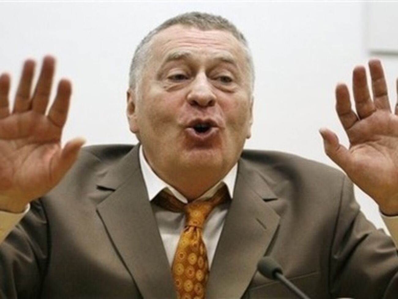 Венгрия не собирается официально реагировать предложение Владимира Жириновского