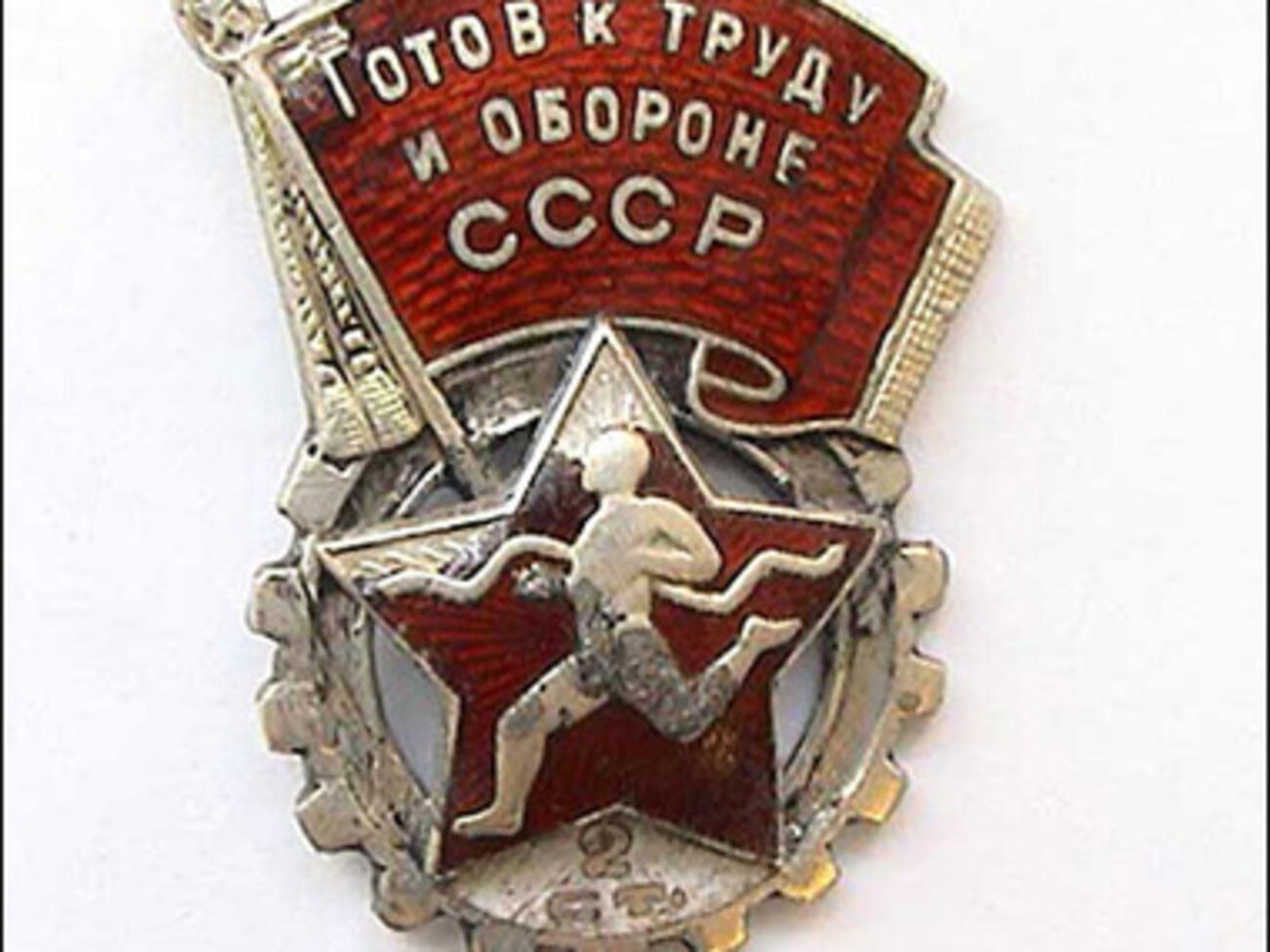 Сдача нормативов ГТО будет учитываться при поступлении в российские вузы