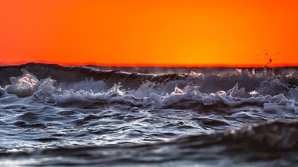 Конкретные фамилии еще неизвестны