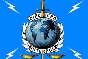 Интерпол рассматривает заявку на розыск Януковича