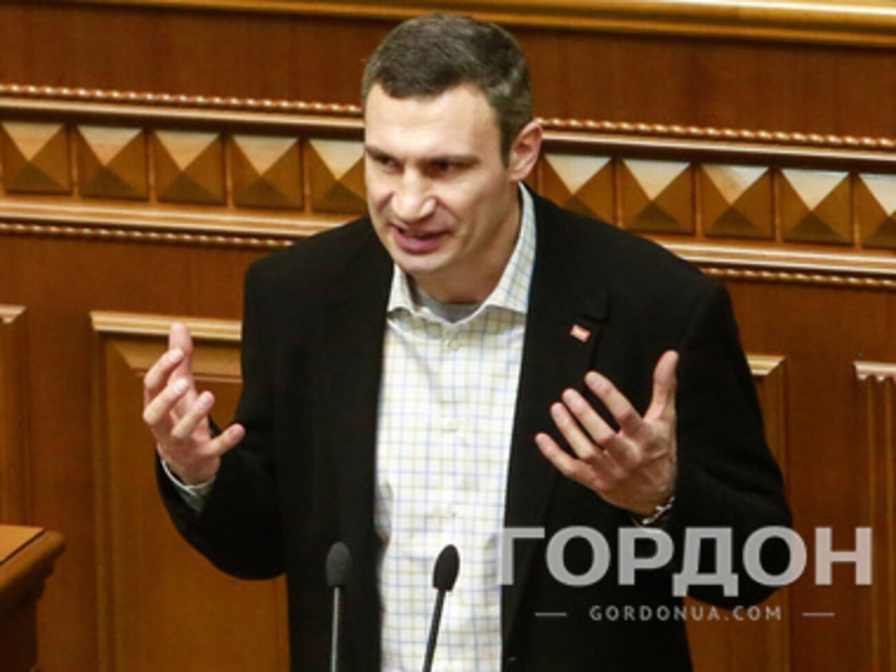 Виталий Кличко, глава партии УДАР