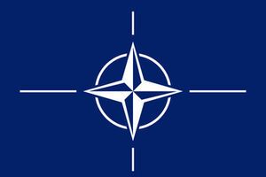 Ранее НАТО приостановило сотрудничество с Россией