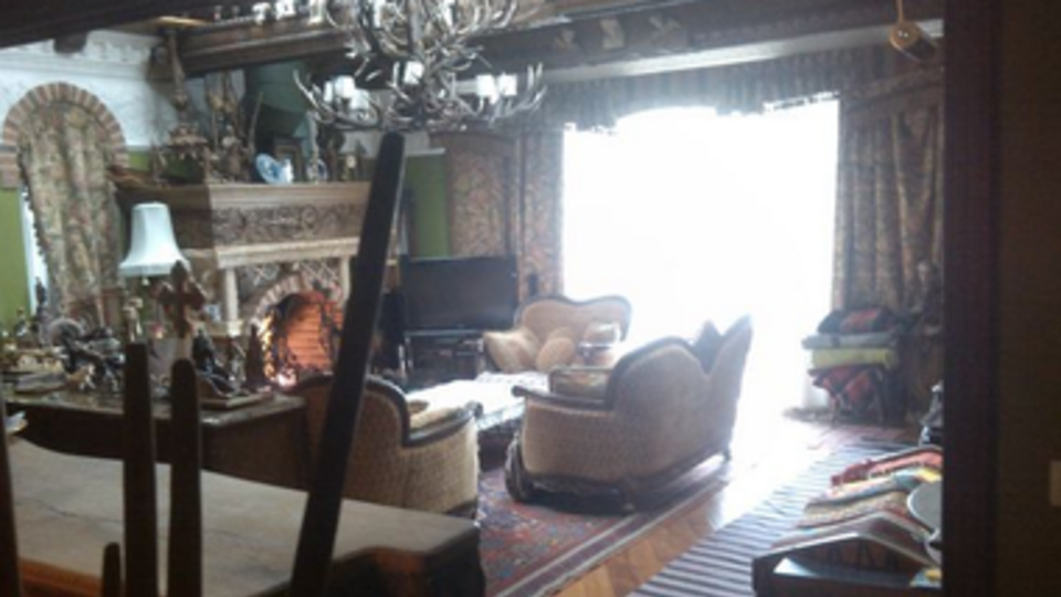 Усадьба Виктора Ющенко