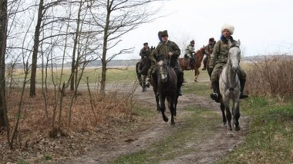 Украинские казаки вышли на защиту Родины