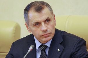 Константинов считает, что в Конституцию "нельзя вписать все"