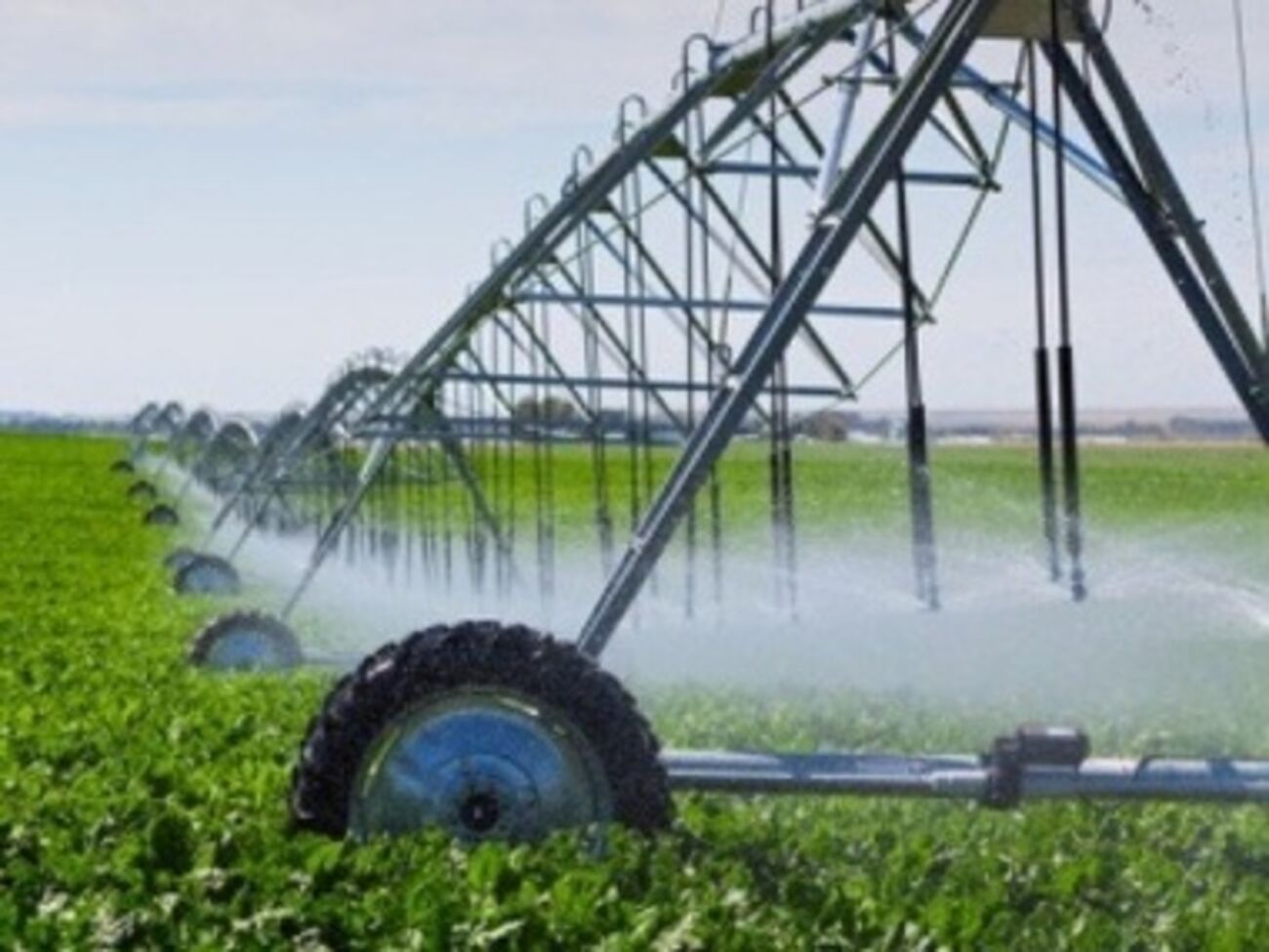 Вопрос полива в Крыму упирается в политическую плоскость, отметил Вайль