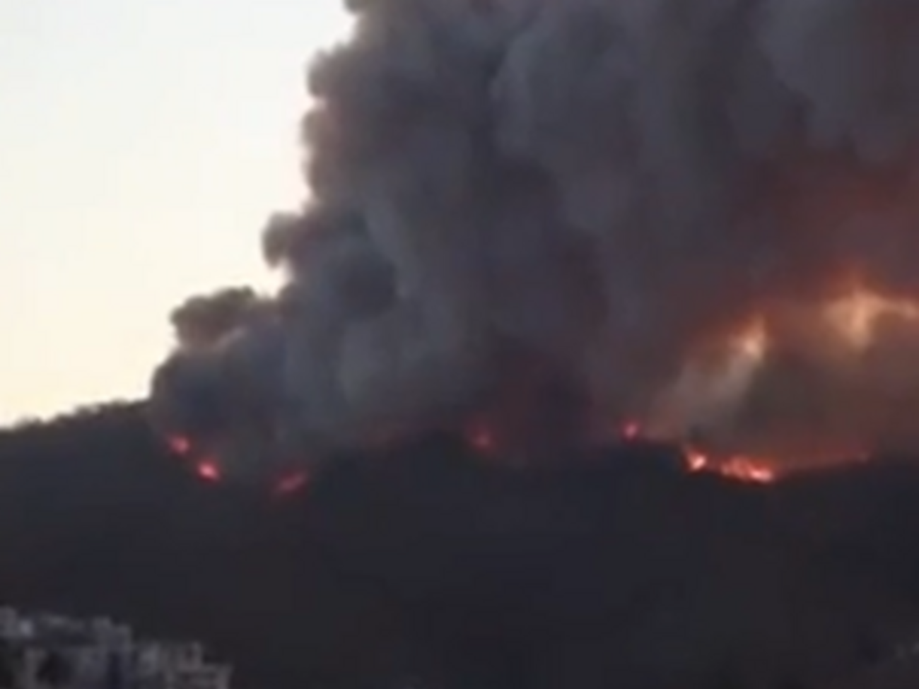 Пожар разгорелся в эвкалиптовых лесах возле Вальпараисо