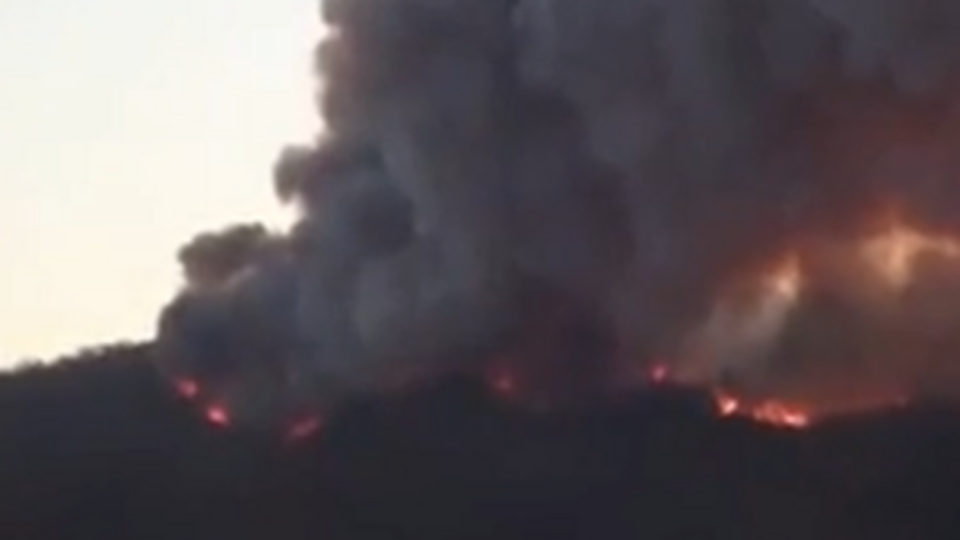 Пожар разгорелся в эвкалиптовых лесах возле Вальпараисо