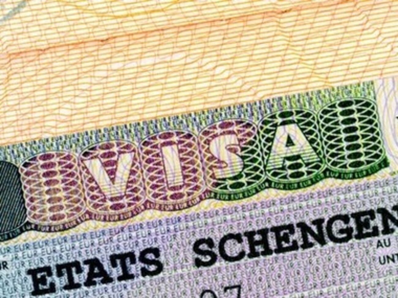 В мониторинге приняли участие 19 стран Шенгенской зоны