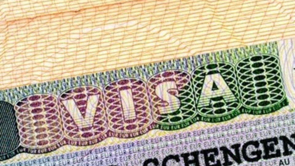 В мониторинге приняли участие 19 стран Шенгенской зоны