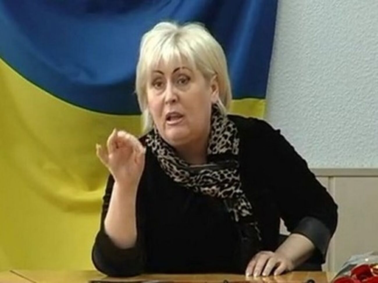 Неля Штепа утверждает, что согласовывала свои действия с Администрацией президента