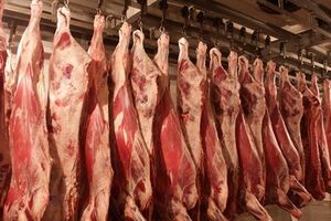 Цена на свиную вырезку может подняться до 100 гривен за килограмм