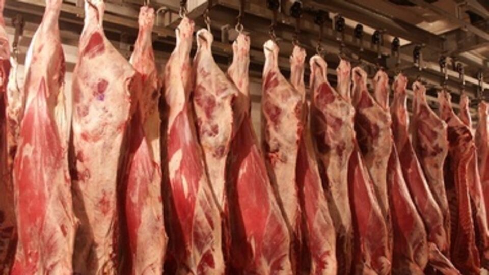 Цена на свиную вырезку может подняться до 100 гривен за килограмм