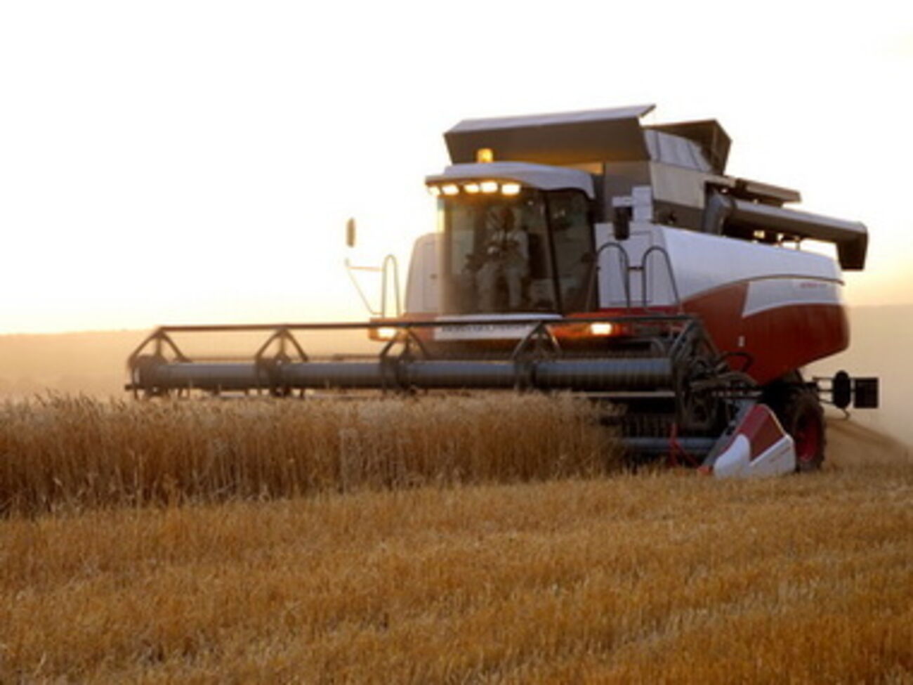 Квоты на экспорт в ЕС будут распределяться по принципу&nbsp;"первый пришел --- первый получил"