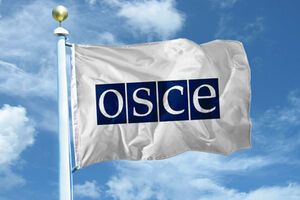 Наблюдатели ОБСЕ не смогли попасть в Славянск раньше по соображениям безопасности