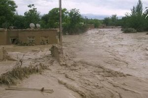 Двухдневные ливни стали причиной масштабного наводнения в Афганистане