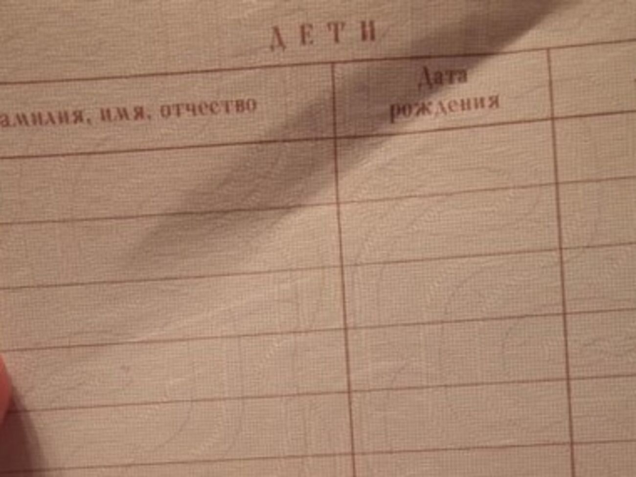 Записать ребенка в российский паспорт родителей можно будет в сентябре