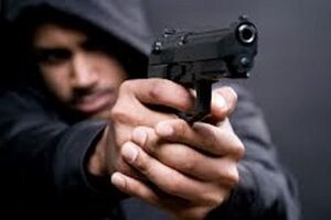 МВД ввело оперативный план "Сирена" для установления места нахождения преступников