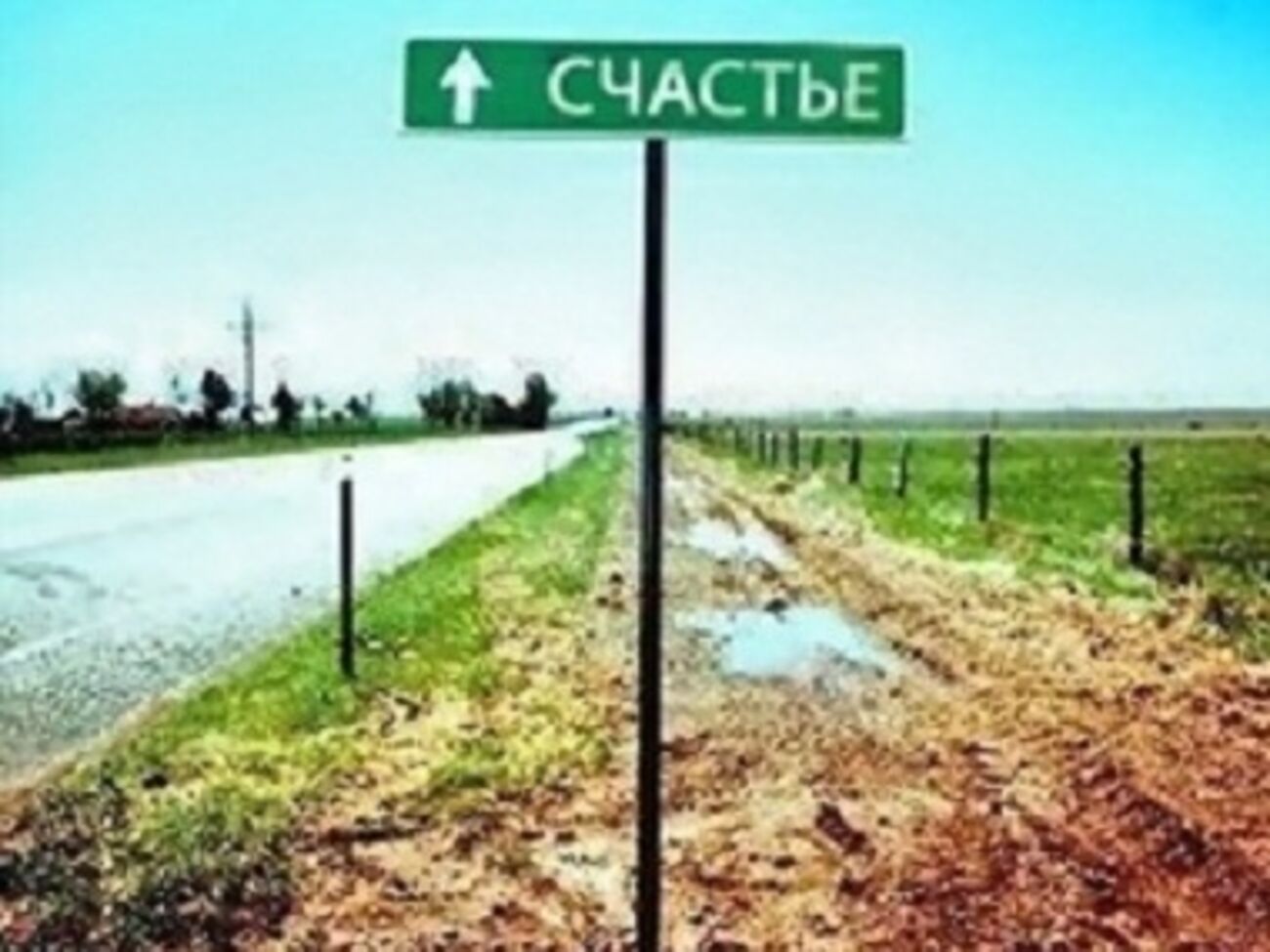 Вдвое стало больше тех, кто объясняет состояние счастья тем, что просто радостно жить