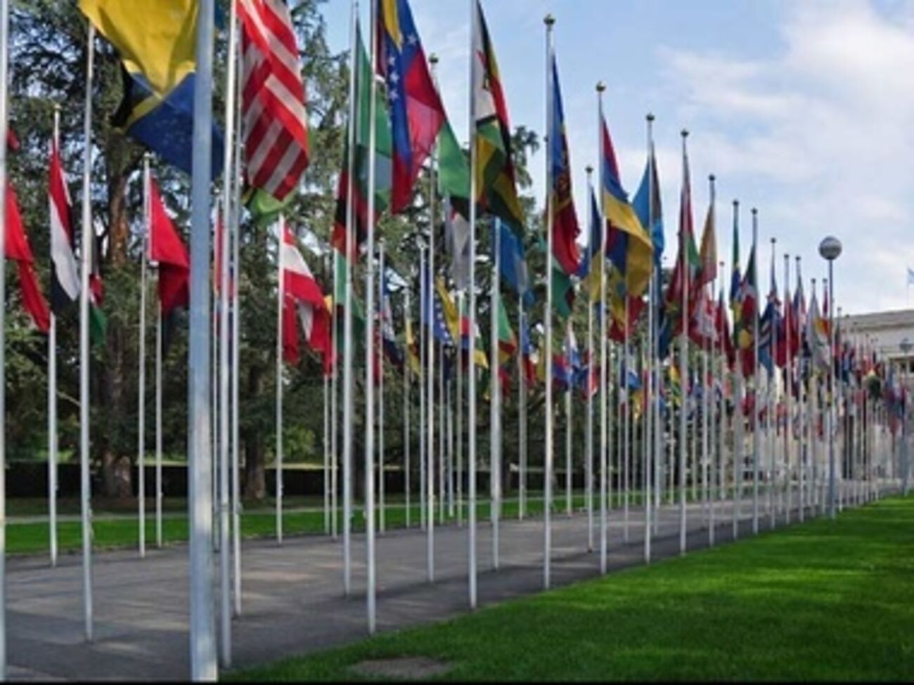 Эксперт ООН подготовит доклад о проблемах нацменьшинств в Украине