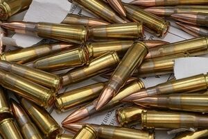 У харьковчанина нашли более 500 патронов