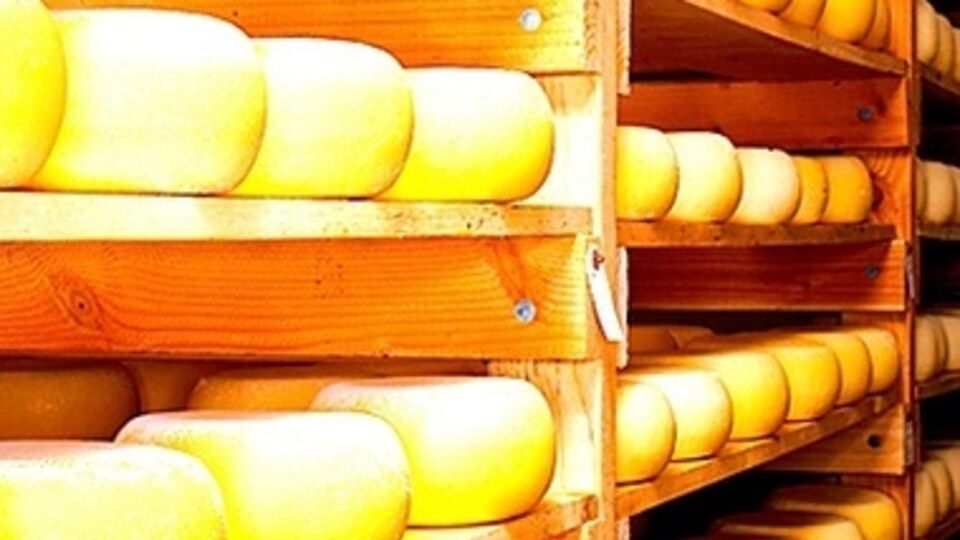 На импорт украинских сыров в России действует ряд ограничений