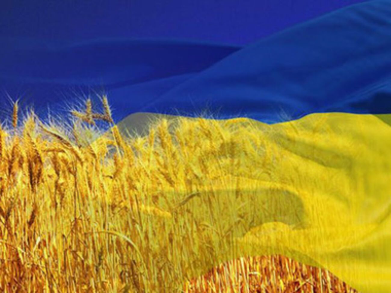 По словам участников конференции, в настоящий момент Украина стала "едва ли не самым интересным местом в мире, где должна и может состояться серьезная дискуссия по этике, политике и культуре"