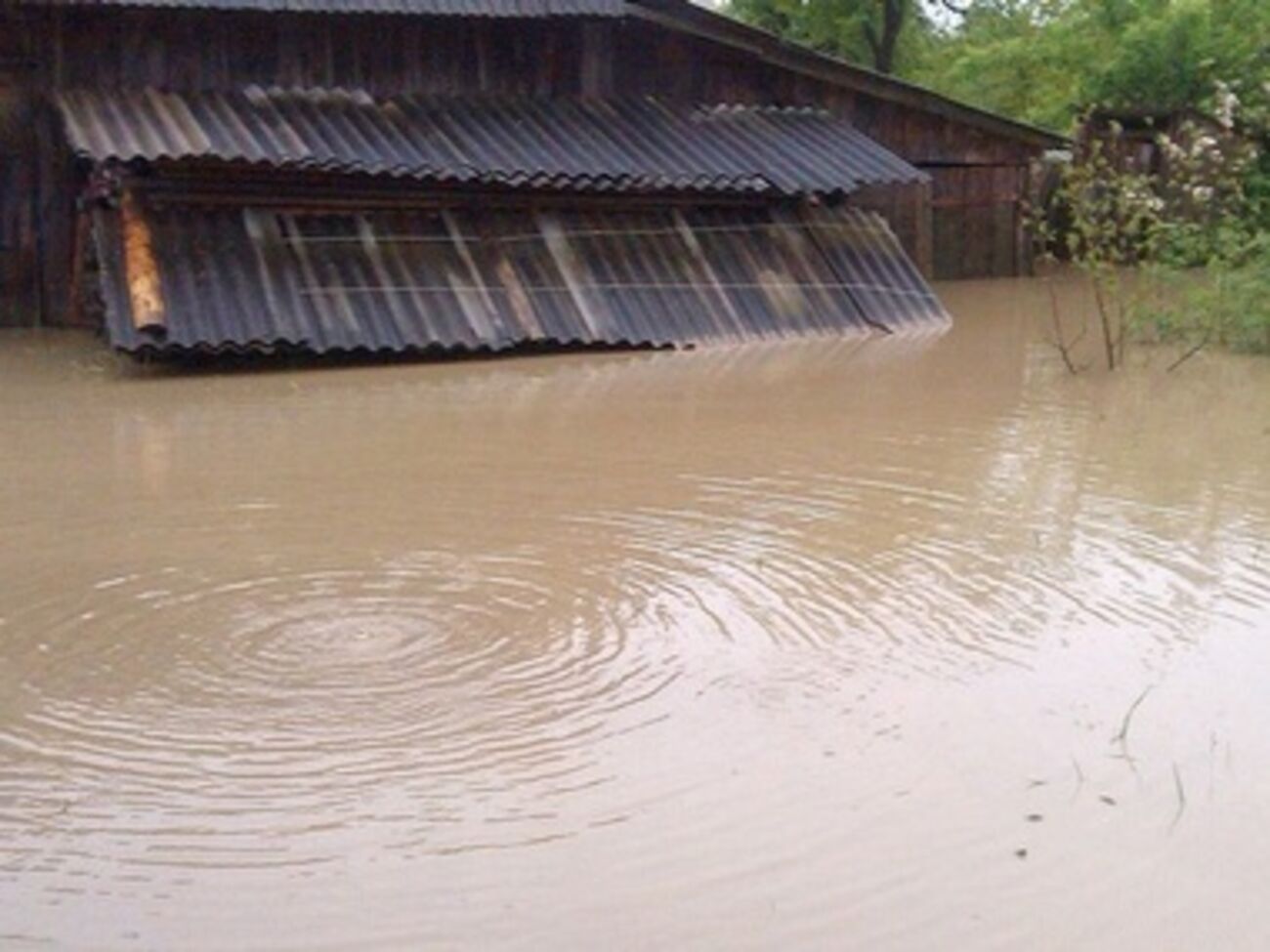 Многие дома сильно затоплены