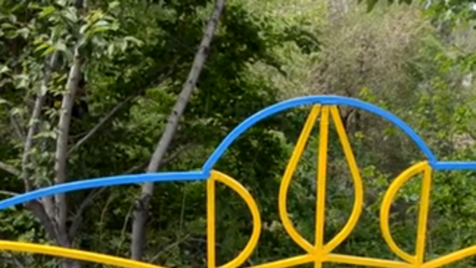 17 мая в Запорожье по-разному праздновали День Европы