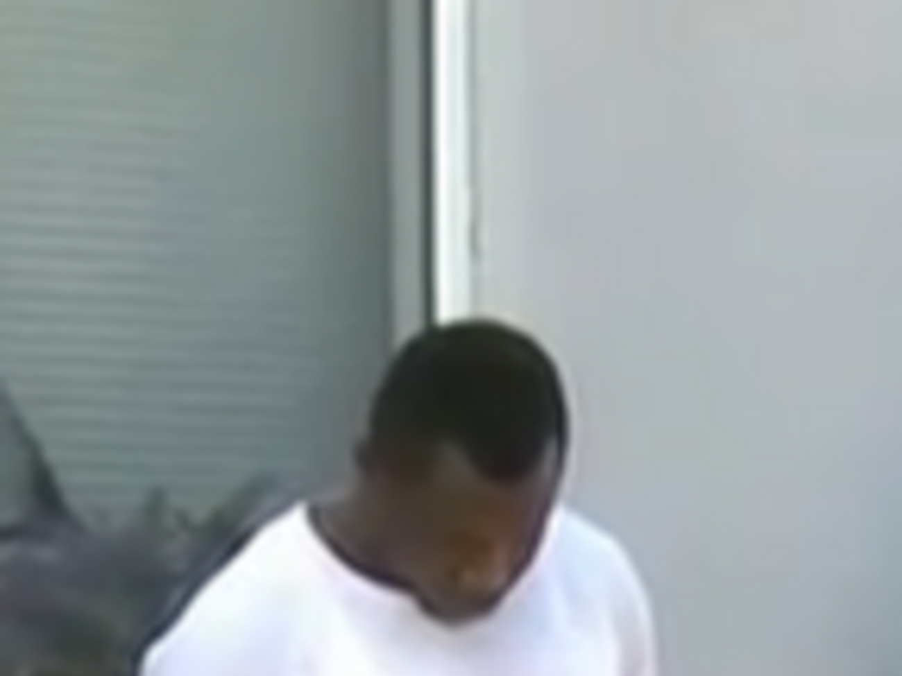 По мнению сепаратистов, африканцы хотят воевать на их стороне.