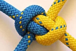 30,7% опрошенных считают, что и украинский, и русский языки должны быть государственными