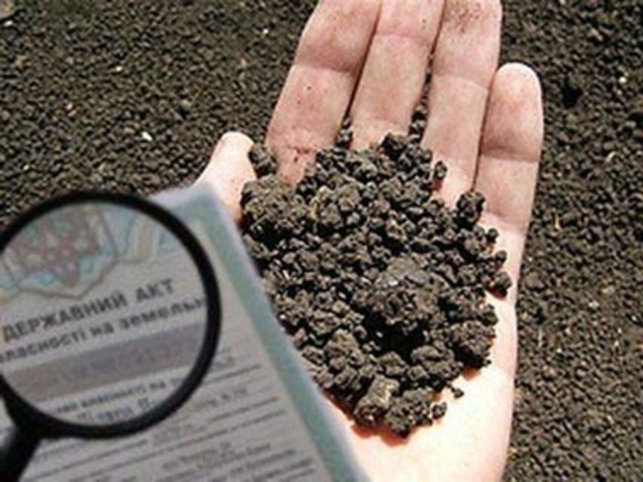 Самопровозглашенные крымские власти начали отбирать землю у дачников