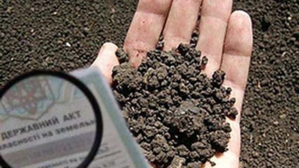 Самопровозглашенные крымские власти начали отбирать землю у дачников