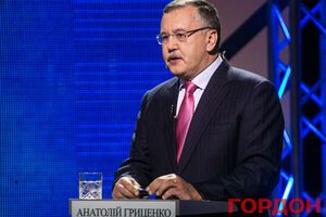 Гриценко отрицает свою причастность к незаконным сделкам