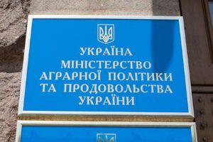 Чиновников Минагрополитики подозревают в махинациях на рынке зерна