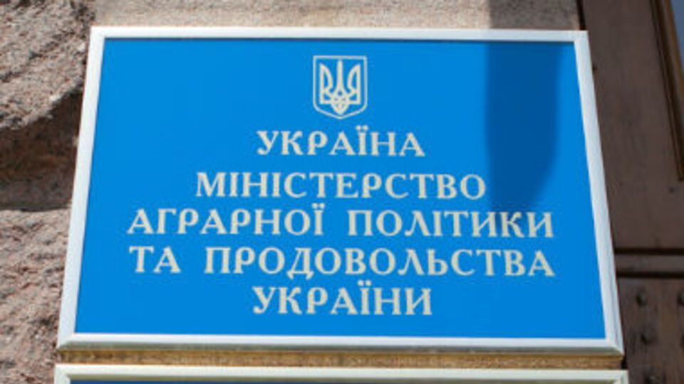 Чиновников Минагрополитики подозревают в махинациях на рынке зерна
