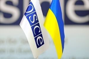 Международная миссия по наблюдению за выборами включает в себя около тысячи наблюдателей из 47 стран Европы
