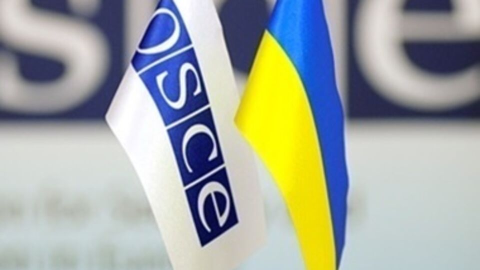 Международная миссия по наблюдению за выборами включает в себя около тысячи наблюдателей из 47 стран Европы