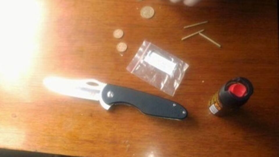 Мужчины пришли на пророссийский митинг с запрещенными предметами