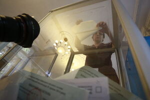 ЦИК обработала 30,1% голосов