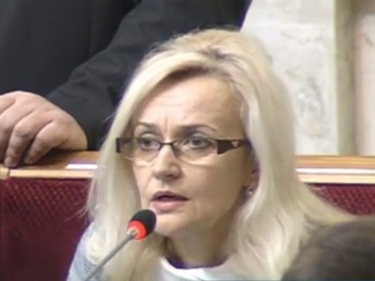 УДАР --- созревшая почка Партии регионов, считает Фарион