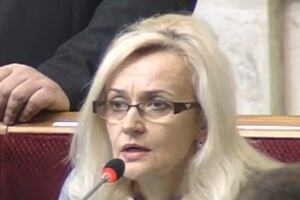 УДАР --- созревшая почка Партии регионов, считает Фарион