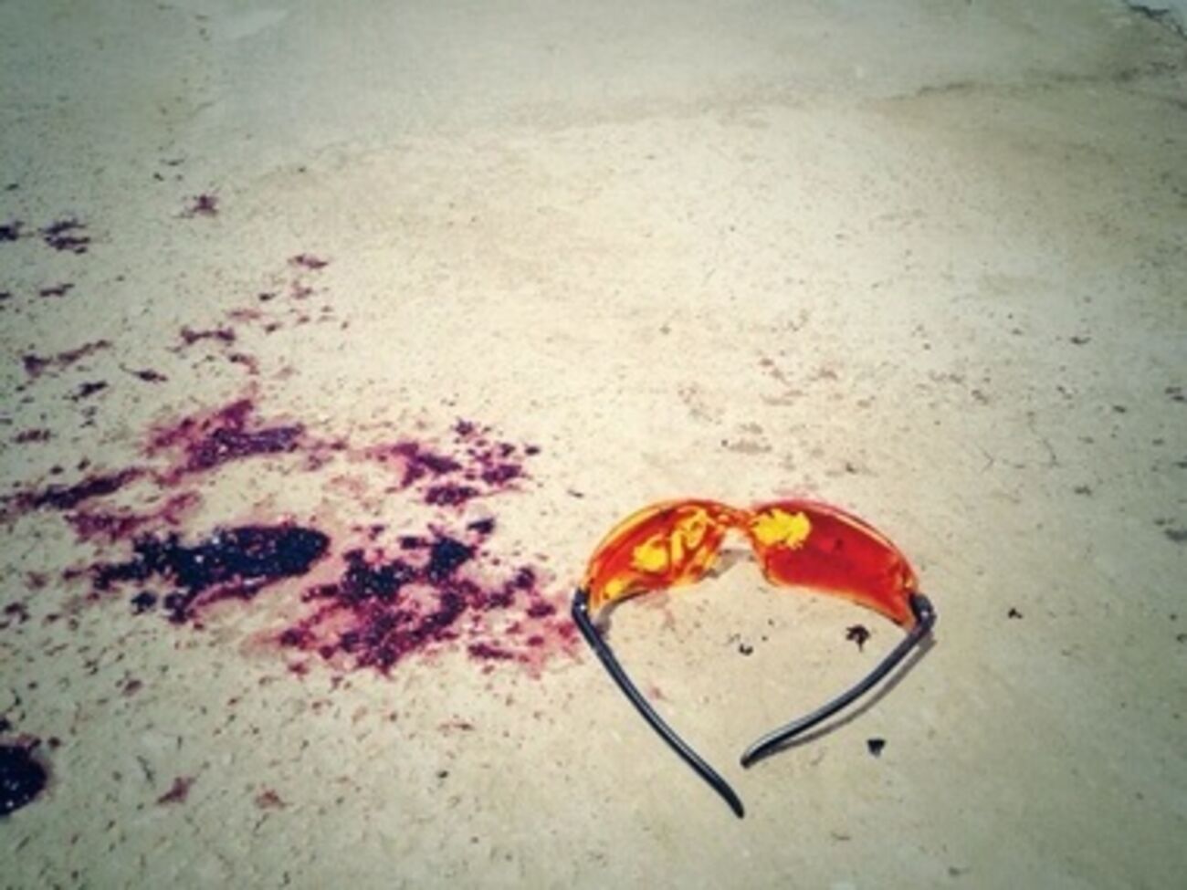 Бой под Карловкой длился около 4,5 часа