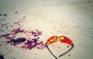 Бой под Карловкой длился около 4,5 часа