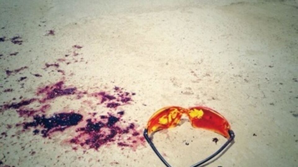 Бой под Карловкой длился около 4,5 часа